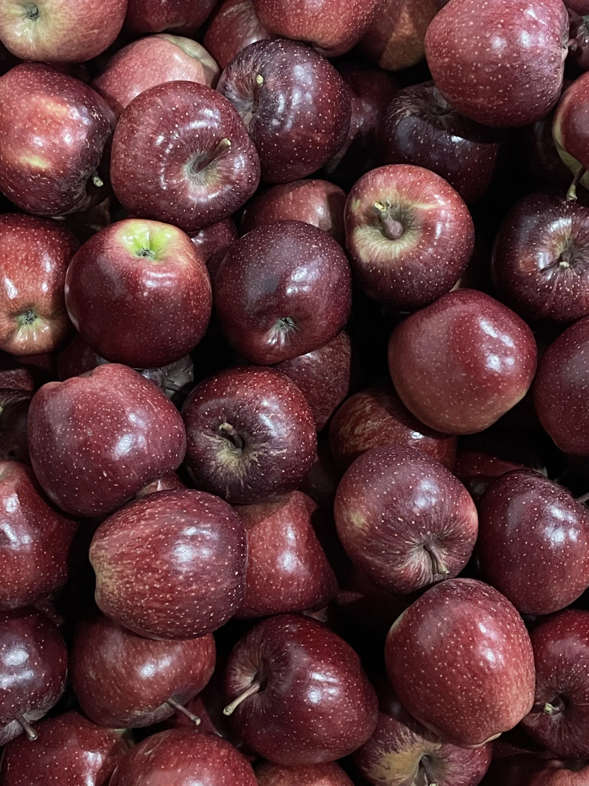 Royal Apple - Image 4