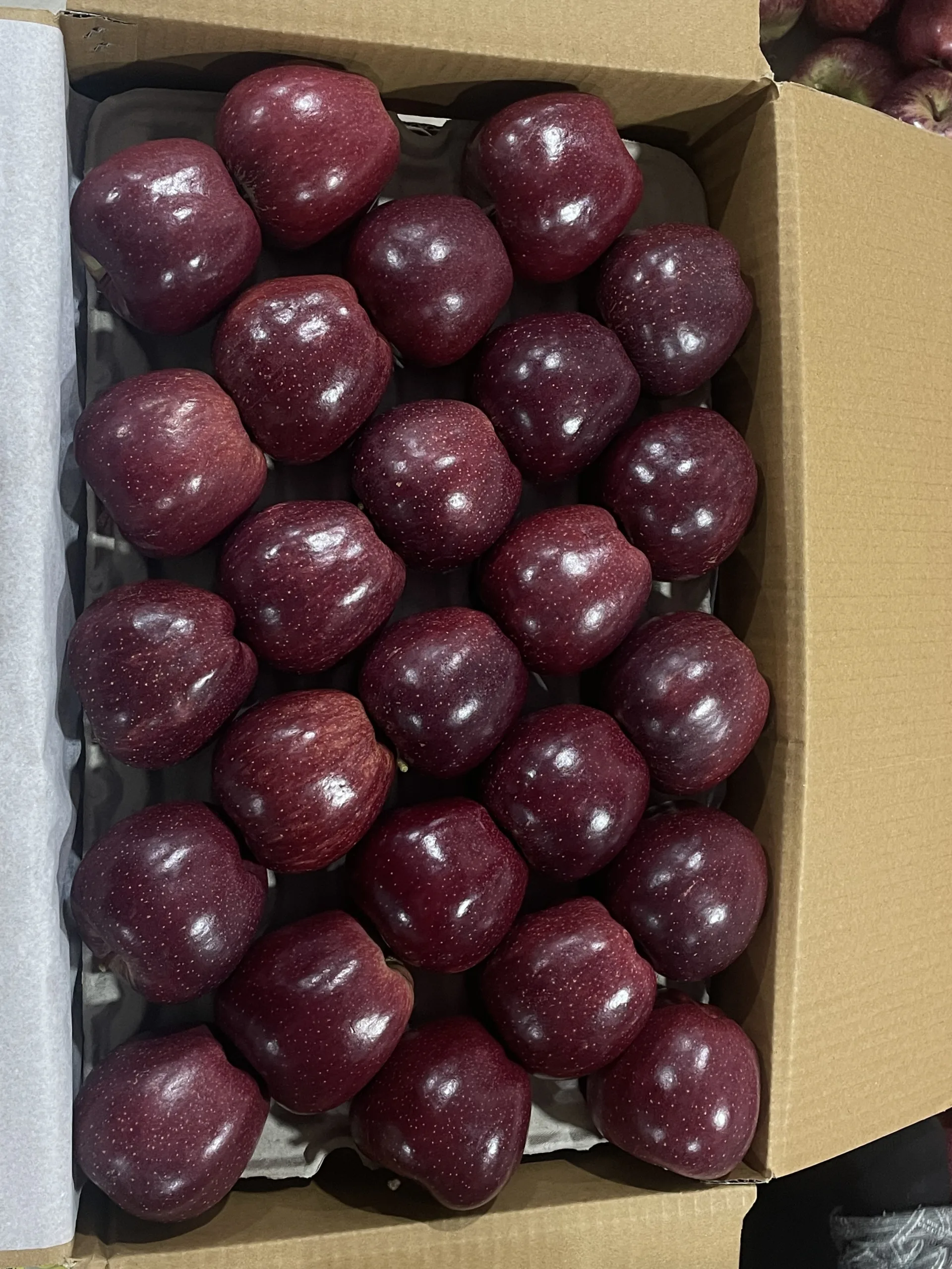 Royal Apple - Image 5