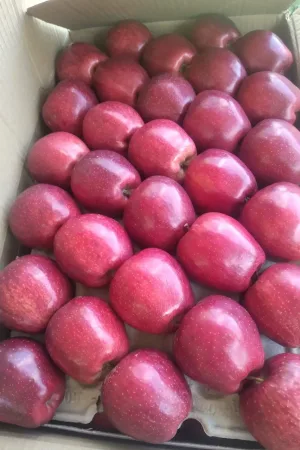 Royal Apple