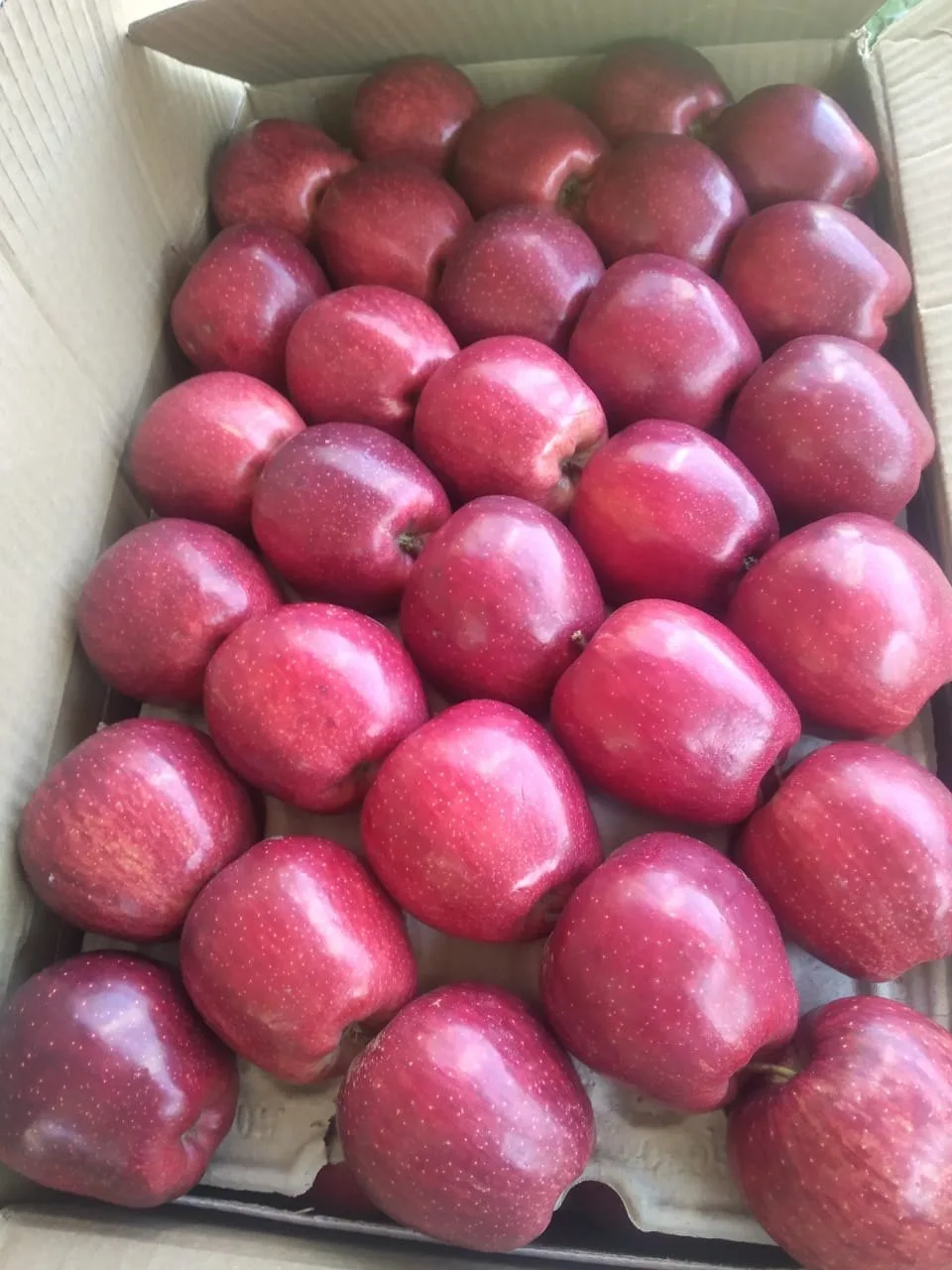 Royal Apple